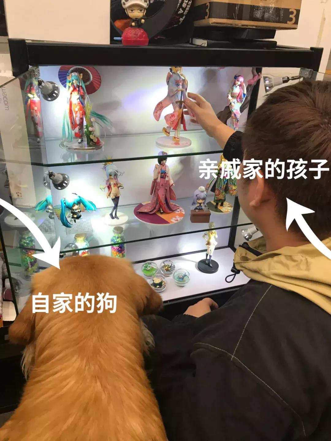 不要让熊孩子破坏你的手办,如何让熊孩子不碰你的手办