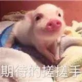 千万别看4D电影！你们会后悔的！哈哈哈哈哈哈哈哈哈哈哈哈