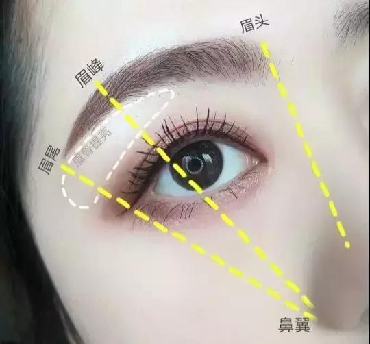 画眉几步轻松搞定多图,几种眉形的画眉技巧