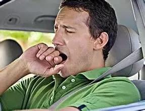 开车熬夜提神茶推荐,开车喝的提神饮料