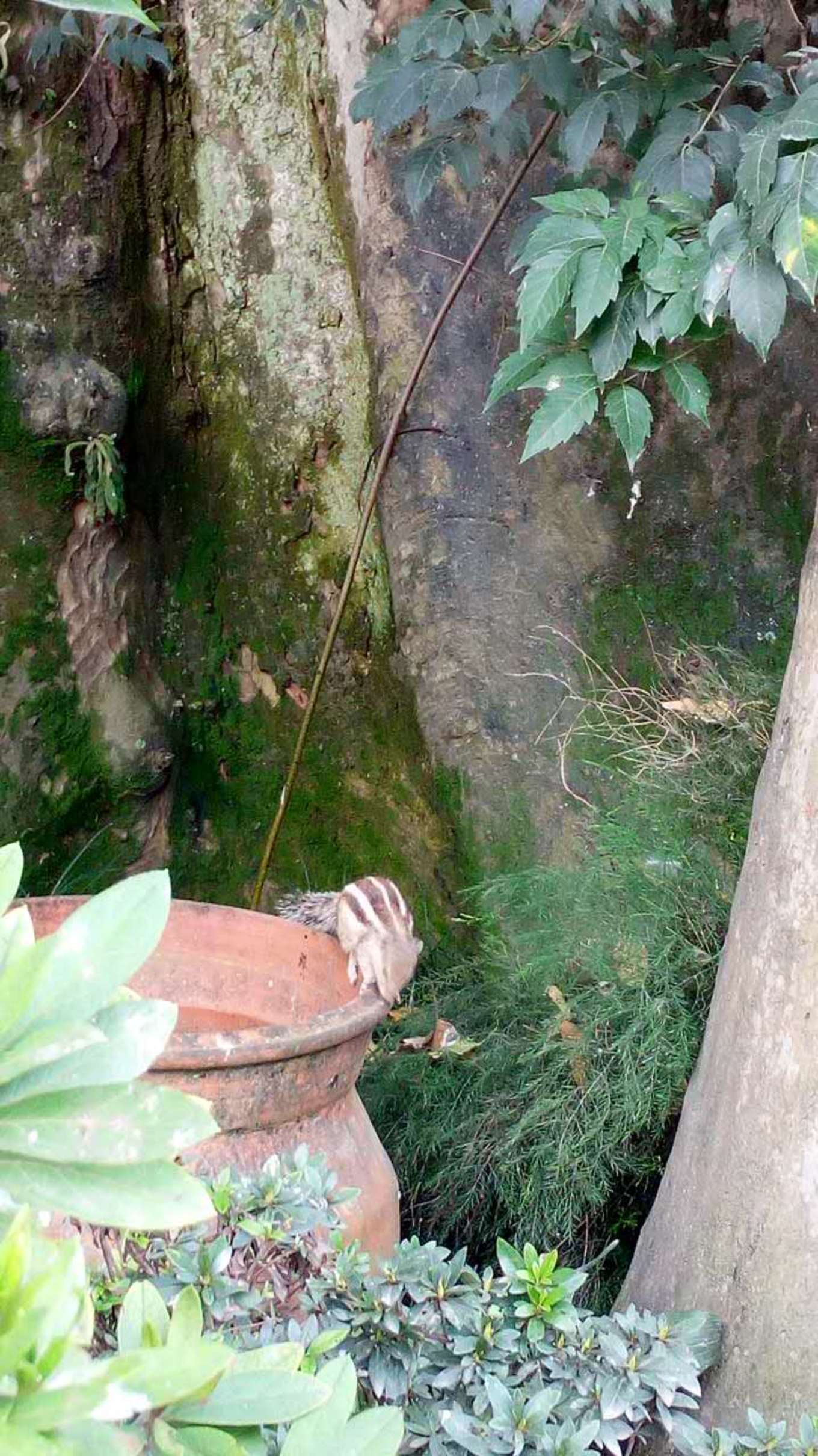 2万元旅游攻略,2万元国内旅游攻略