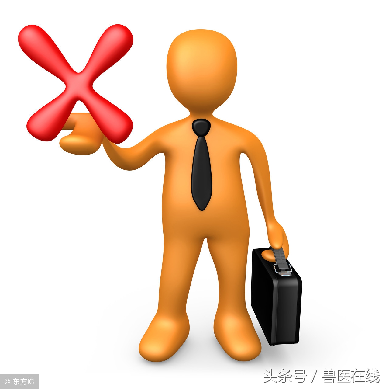 养猪知识猪低烧,养猪技术猪发热怎么办