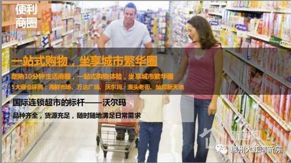 大亚湾澳头新力琥珀园,惠州大亚湾中心区新力东园