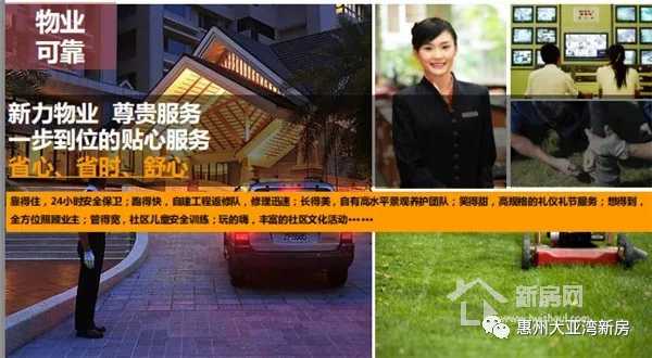 大亚湾澳头新力琥珀园,惠州大亚湾中心区新力东园