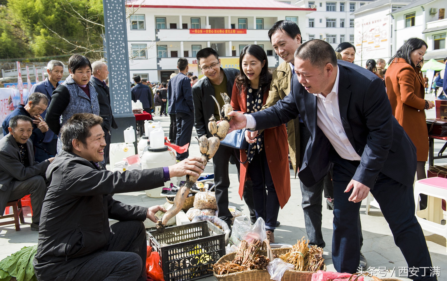 白河东坡千年银杏,白河县构扒镇千年银杏