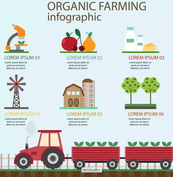 有机农业，你不知道的伤和痛