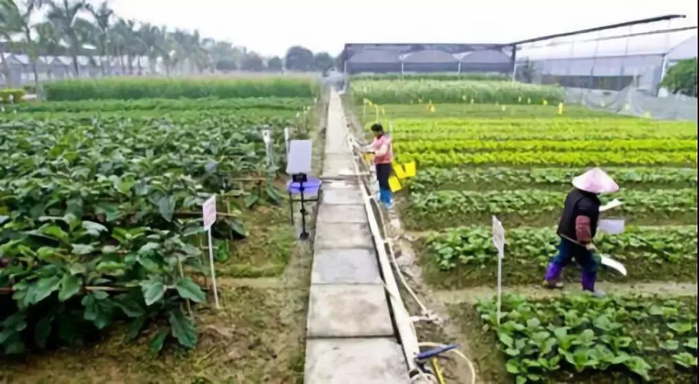 有机农业，你不知道的伤和痛