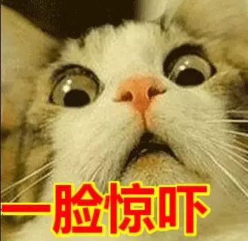 ugg被爆出惊天丑闻,ugg事件处罚
