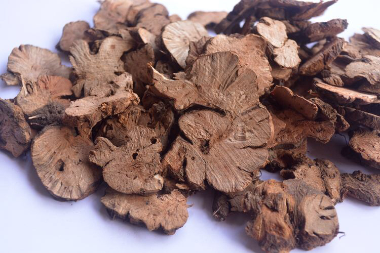 药材天蚕根,荞麦根能治什么病