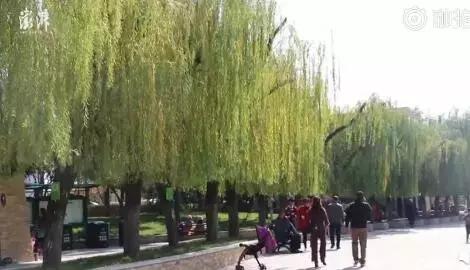 精装变毛坯降价怎么办,精装改毛坯促销