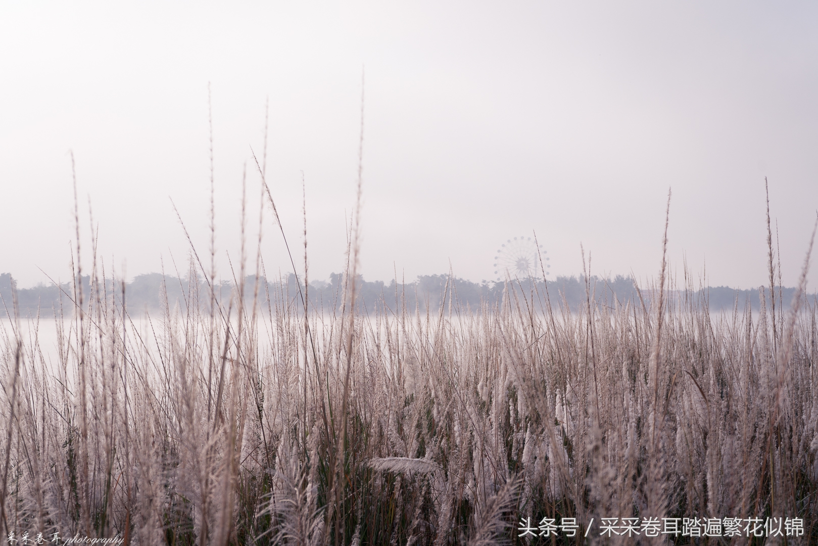 瑞丽最值得去的地方,瑞丽网红打卡地弄莫湖