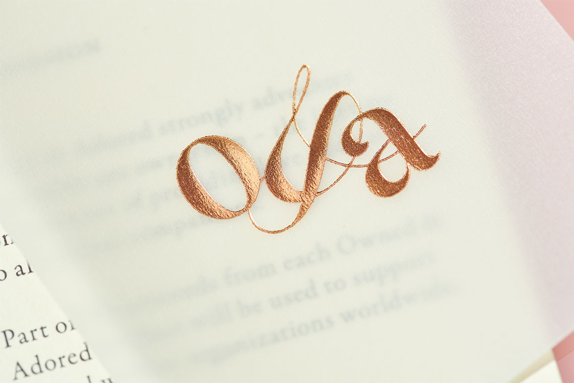 宠物项圈包装设计效果图,宠物用品包装袋设计