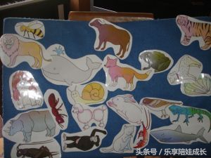 quickasacricket翻译,绘本磨耳朵故事视频