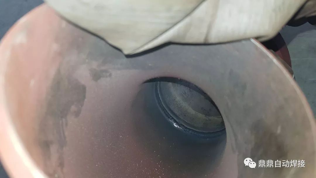 一分钟了解丹顶鹤,两分钟了解海思麒麟