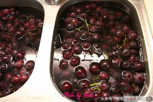 自酿葡萄酒的制作全过程,怎样自制葡萄酒酿出来的好喝