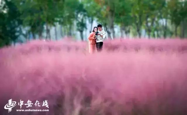 外地人眼中的阜阳究竟是什么样？今天小编和你好好“掰扯掰扯”