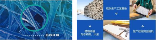 纸芯片开发,纸芯片是什么东西