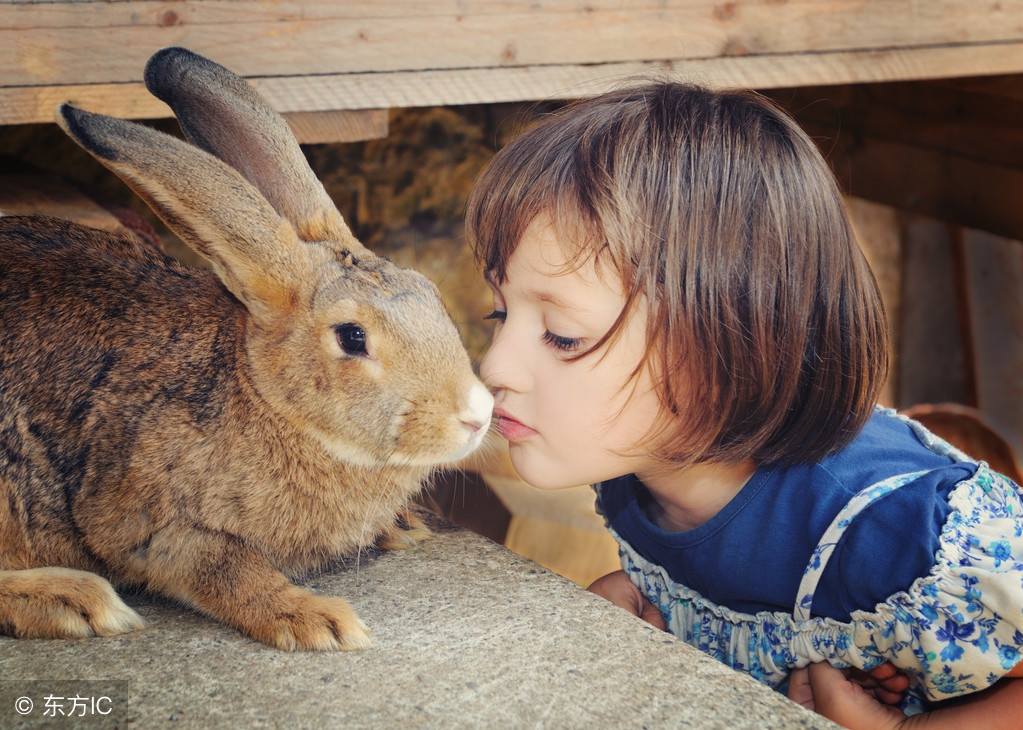 睡前小故事催眠,睡前小故事100个