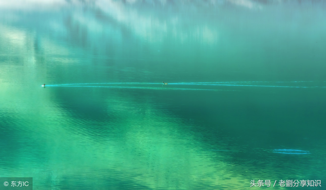 小学古诗文言文默写专项练习,复习语文练习题