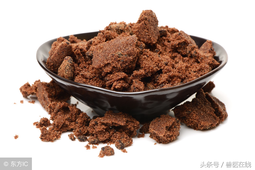 猪体温降落最快的方法,病猪体温正常不吃怎么治疗