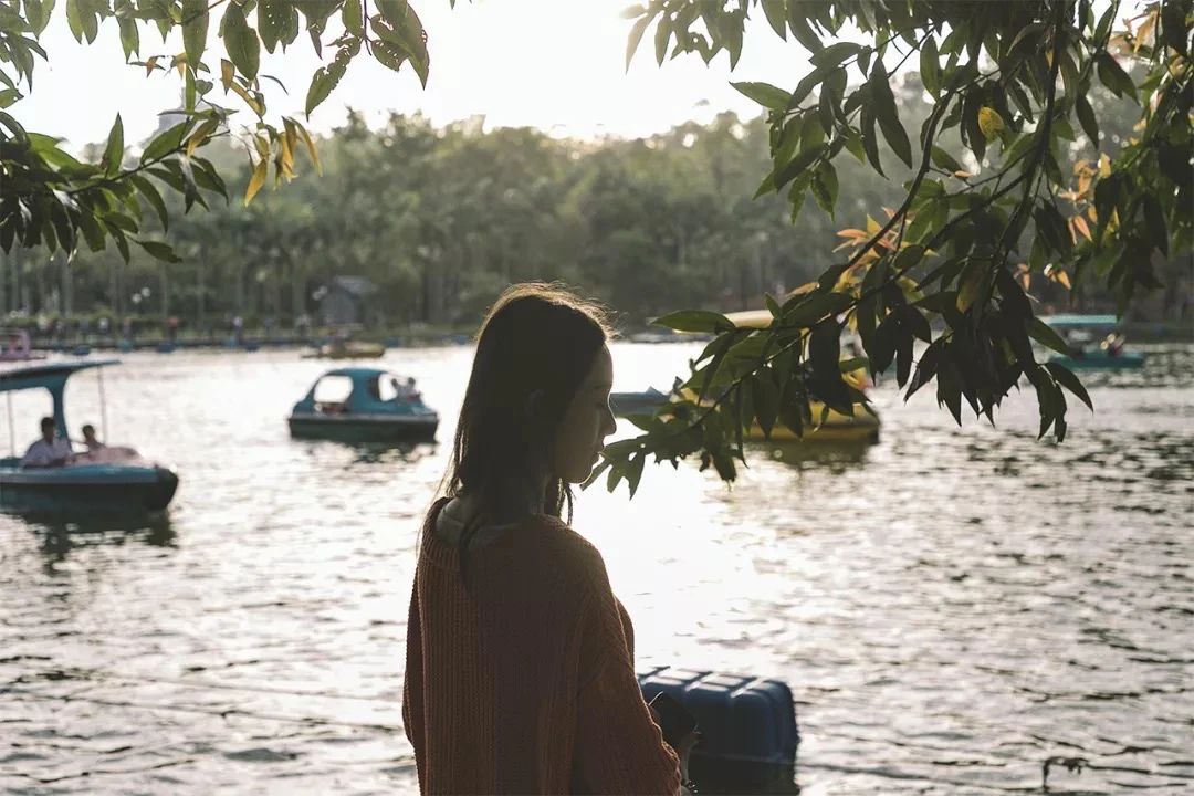 深圳二号线沿线有哪些景点游玩,深圳9号线沿途好玩的地方推荐