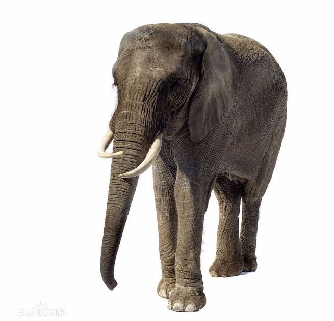 百度被勒令整改的效果,百度被勒令整改了吗