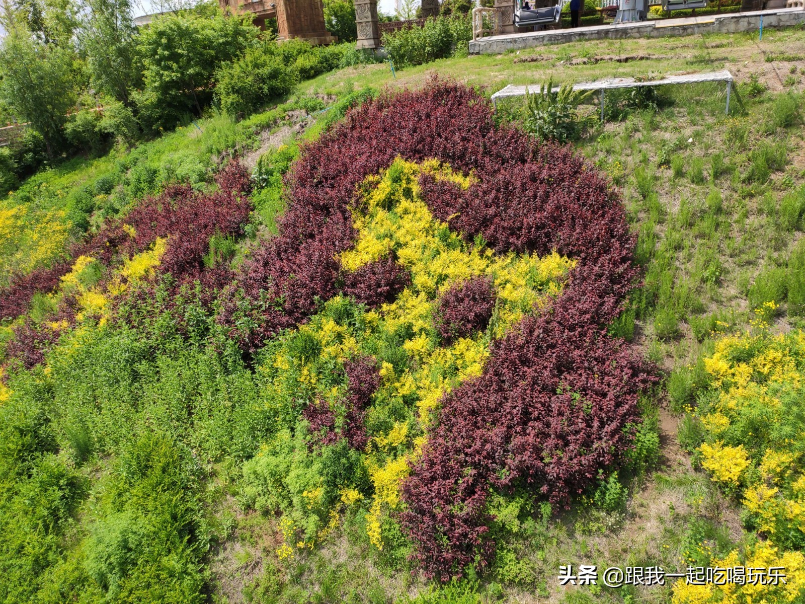 沈阳可以探险的地方,沈阳亲子游丛林探险