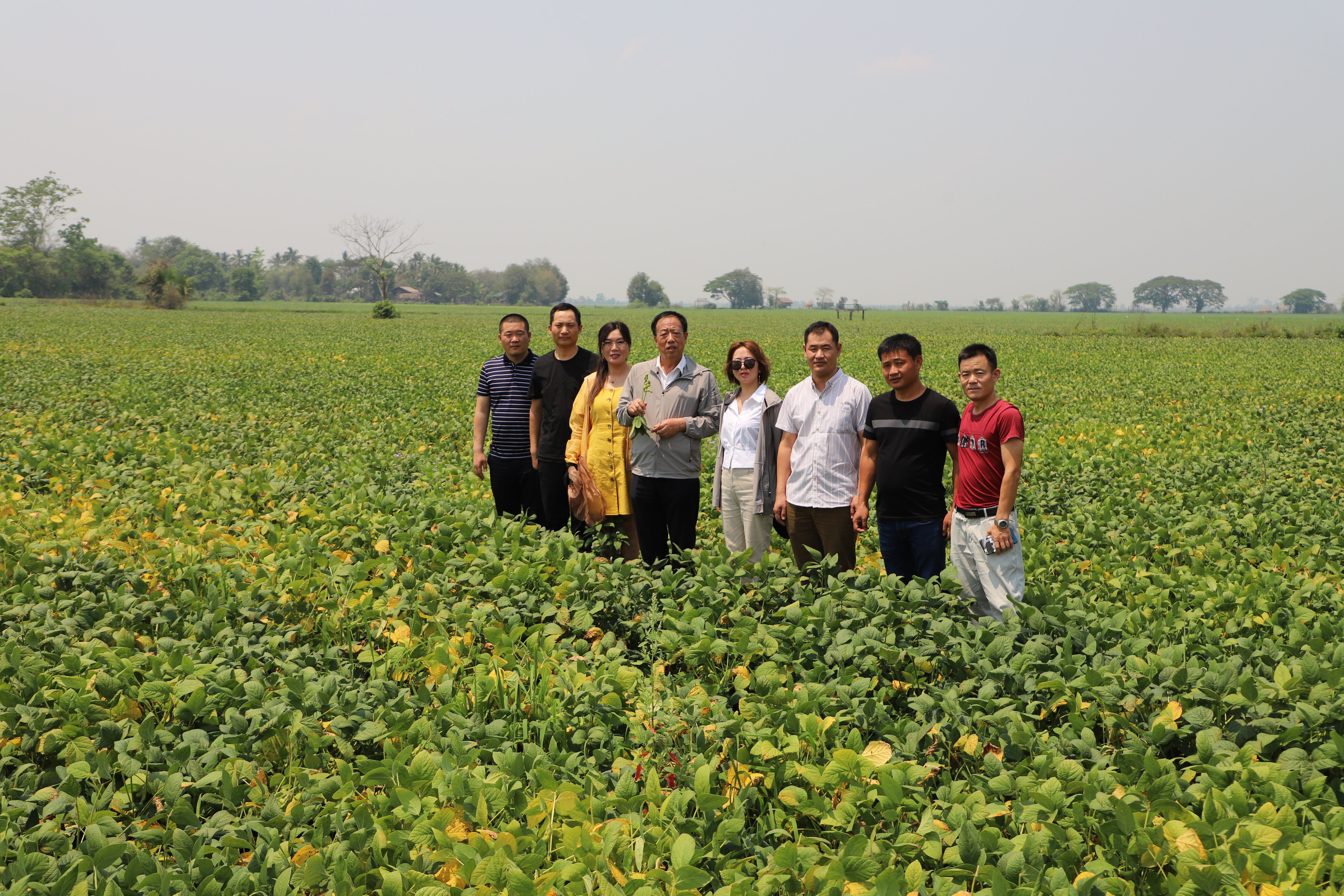 从黑土地走来的人是谁,从黑土地走出来的歌唱家