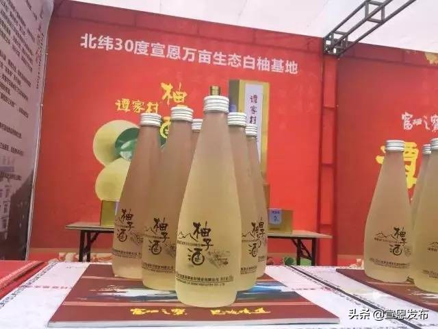 宣恩贡水柚直播间,宣恩贡水白柚苗