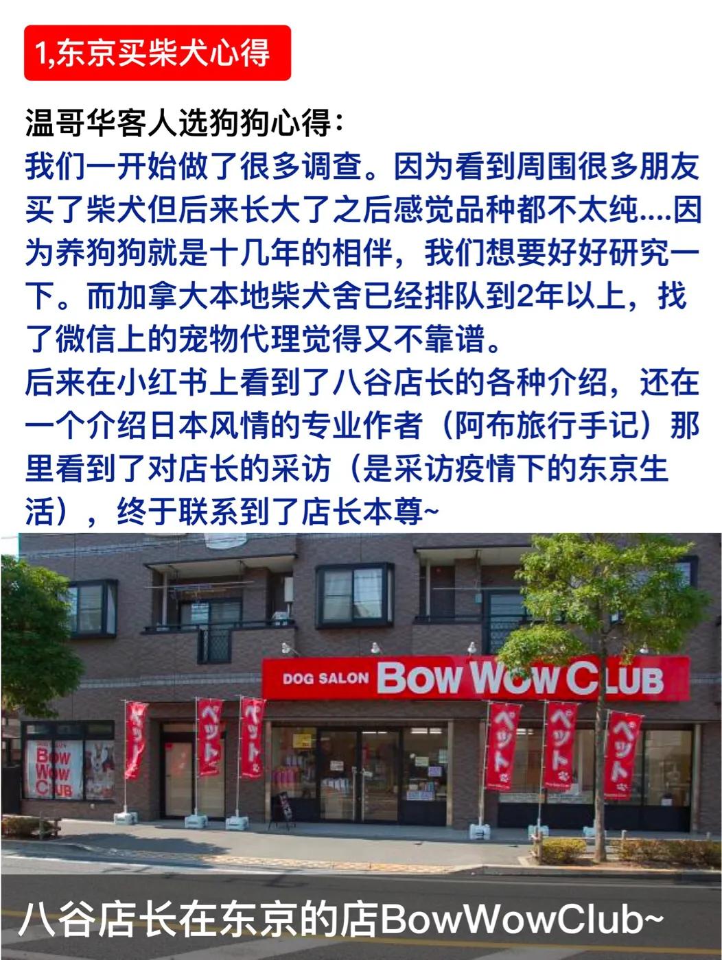 柴犬马来西亚哪里能买到,柴犬购买线下渠道