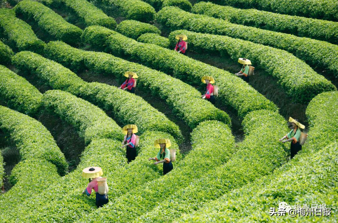 梅州市妇联,梅州市梅江区妇联