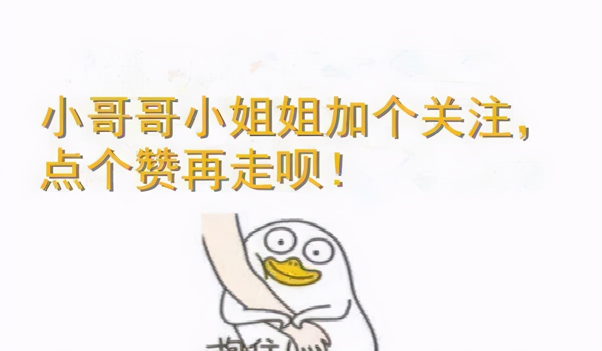 什么样的猫咪好养不容易养,养得好的猫咪几大特征是什么