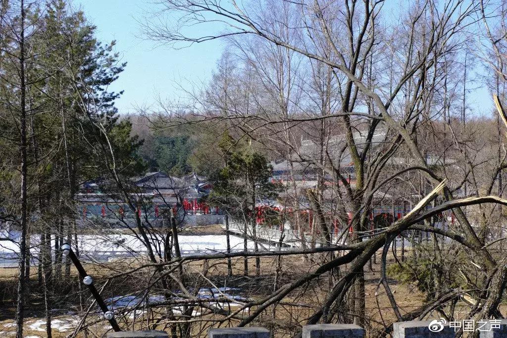 牡丹江毁林庄园事件,牡丹江毁林违建