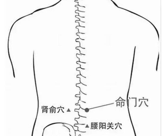 艾灸对女性雌激素低下有用吗,艾灸女性的肚子哪个部位最好