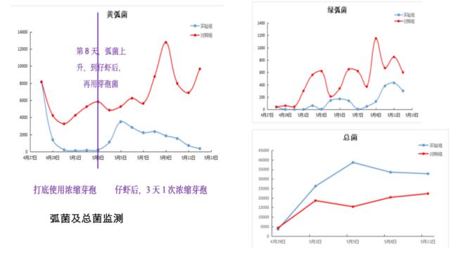 肠道菌的功效与作用,丁酸梭菌对水产动物肠道的作用