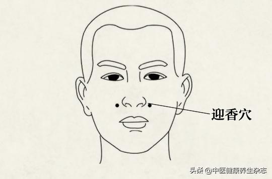 鼻部的迎香穴和鼻通穴,鼻部迎香穴