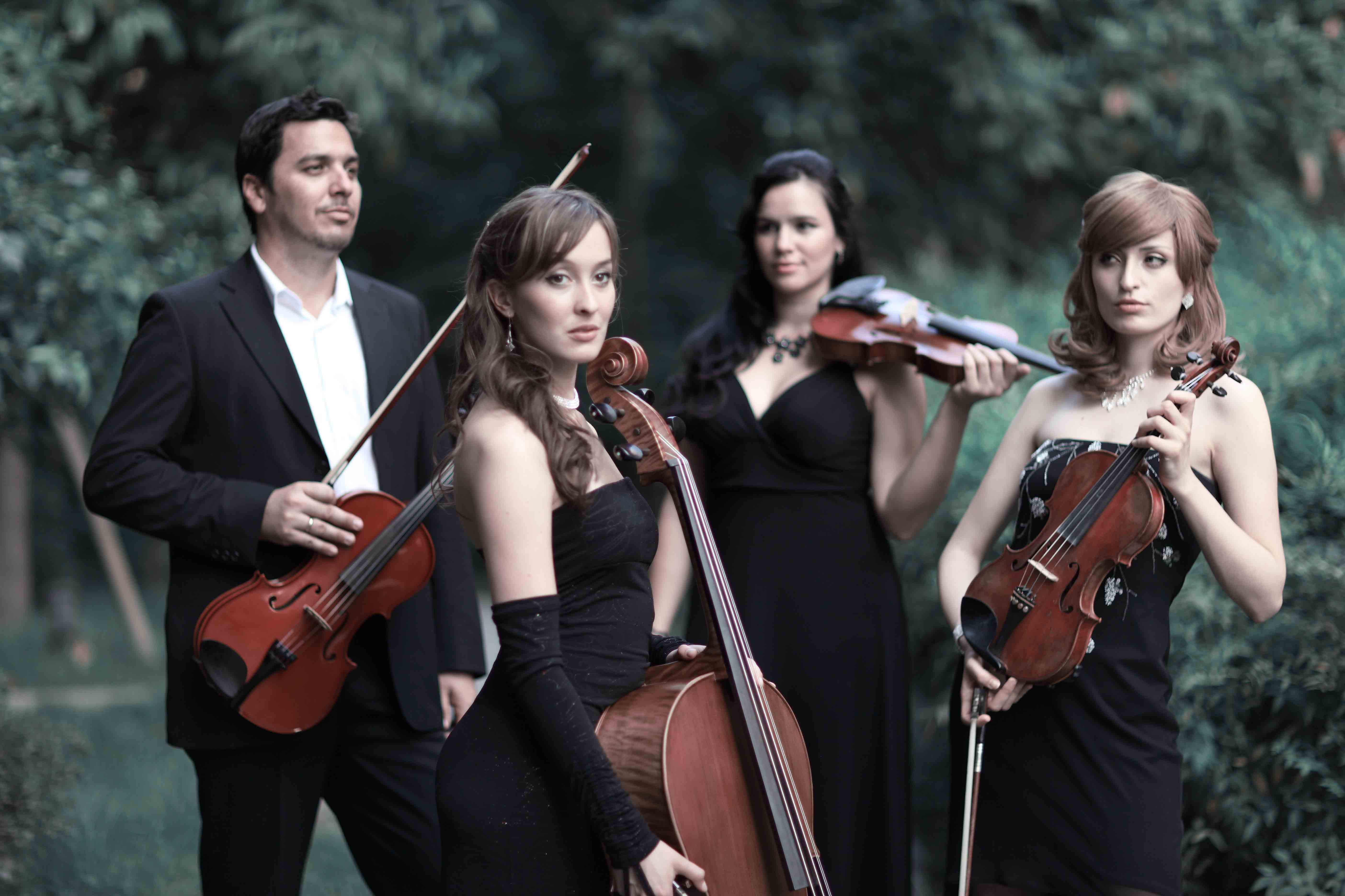 小提琴的保养方法视频,小提琴正确保养方法