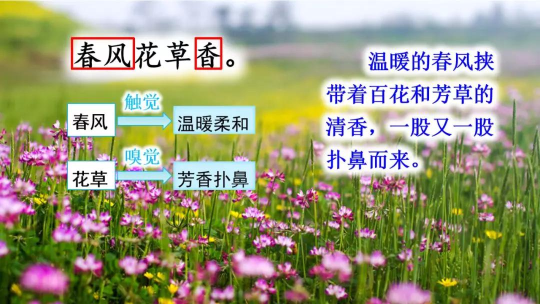 三年级下册语文第一单元测试卷,三年级下册语文教学视频人教版