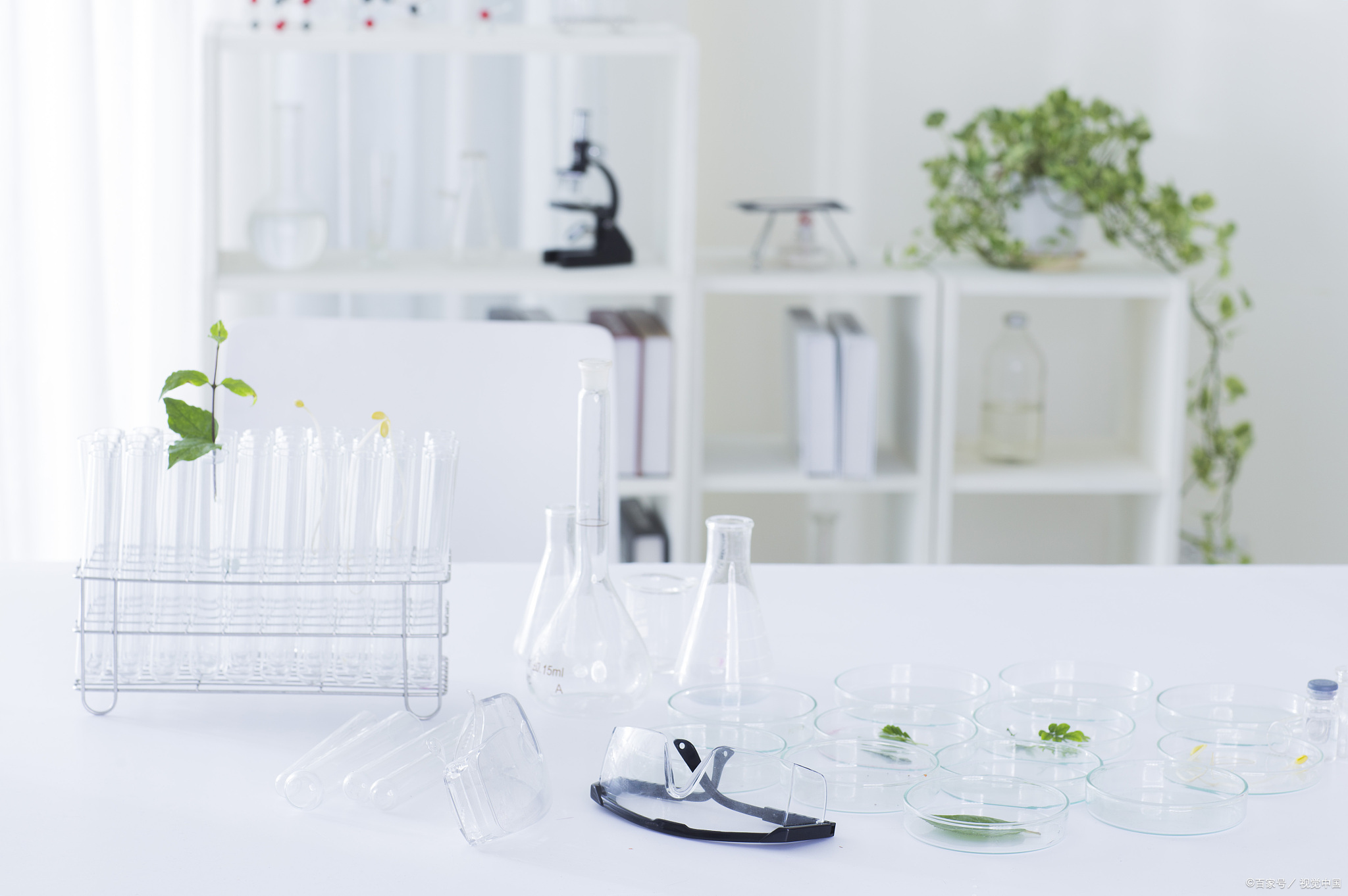 超超把自己的手指划破，吃离魂草，尝试手指是否有自愈作用