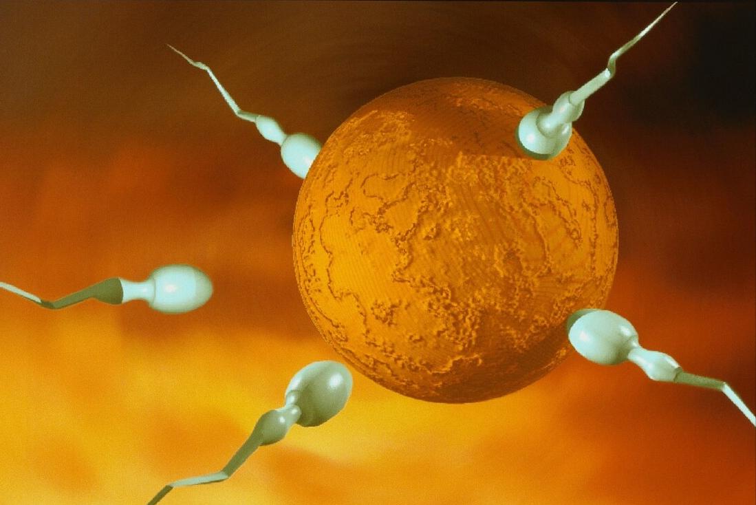 试管第一次空卵第二次会好吗,空卵做试管可以吗