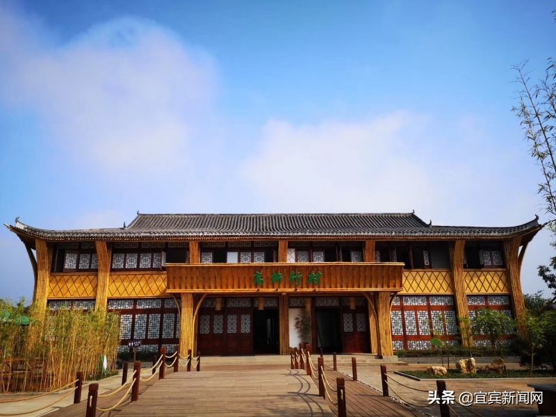 竹文化主题旅游线路,攻略看过来来顺德打卡醉美水杉