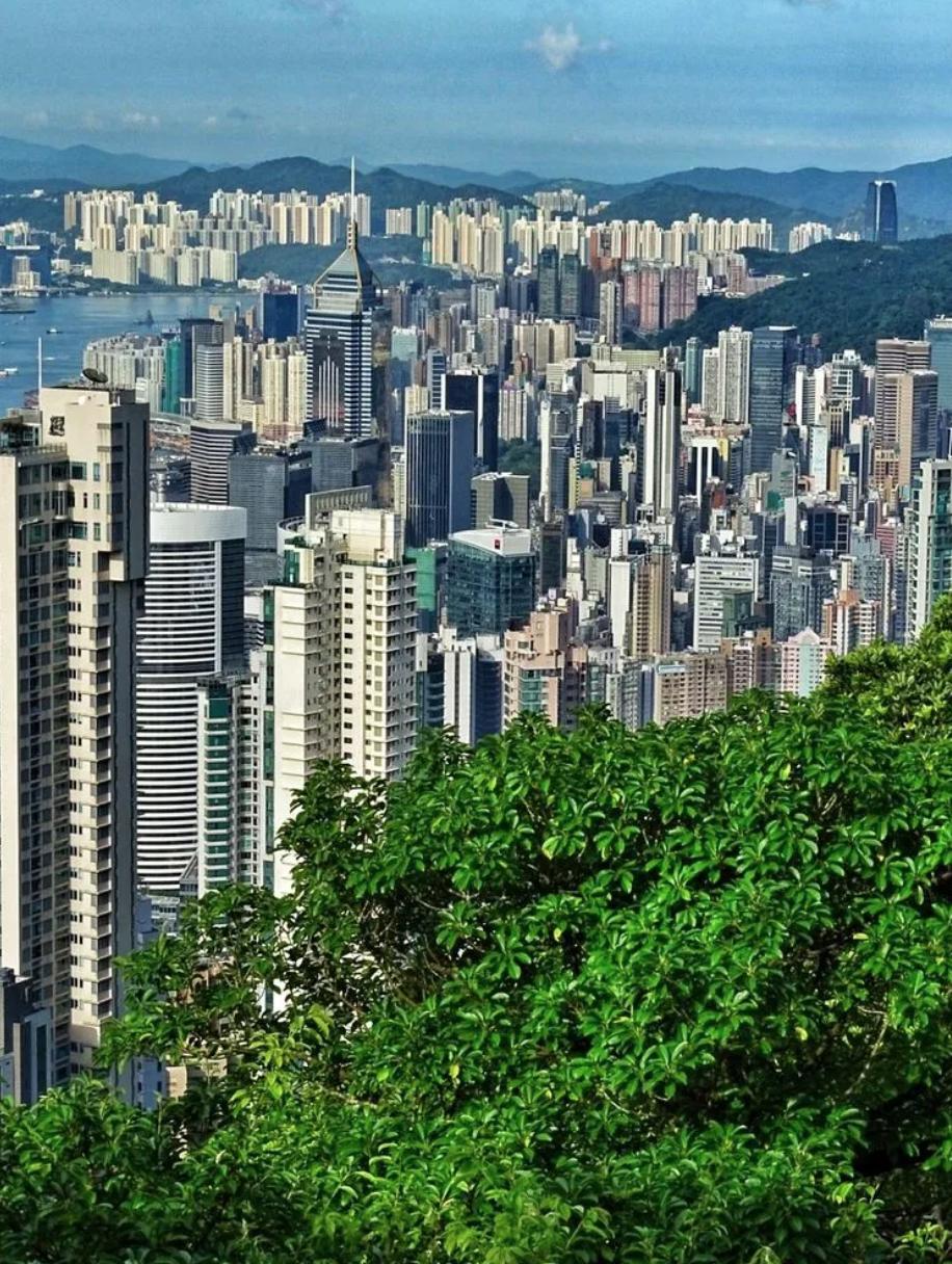 喜宝被老头打后续,喜宝喜欢石澳岛吗