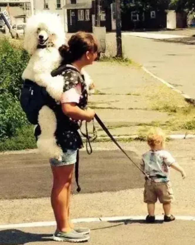 经常跟狗亲密接触能得病吗,人和狗亲密接触会传染细菌吗