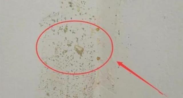 房屋墙面刷漆处理方法,墙面刷漆起皮脱落怎么处理