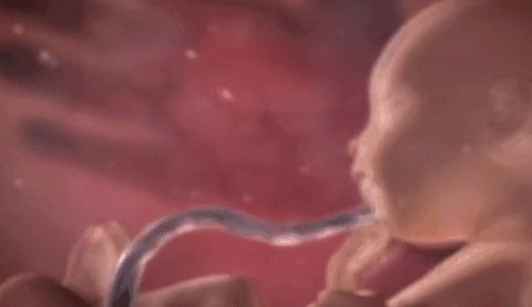 胎儿怎么在娘胎里排泄,胎儿在娘胎里能看见什么