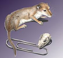 从科学的角度讲人是什么生物,人是怎么来的科学家给出了答案