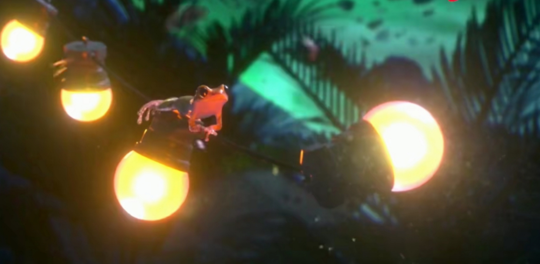 悬疑动画《花园派对》：动物狂欢背后隐藏着细思密恐的人性真相