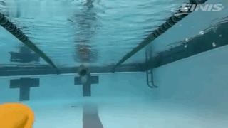 休闲蛙泳怎么游最快最轻松,蛙泳怎么游最快最轻松正确