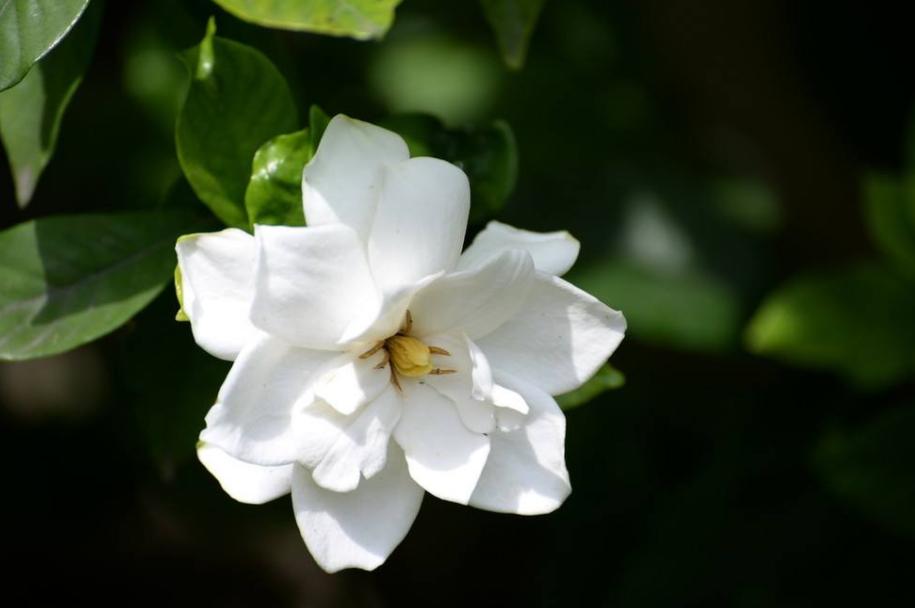 诗词朗诵春天来了,诗歌朗诵春天来了的视频