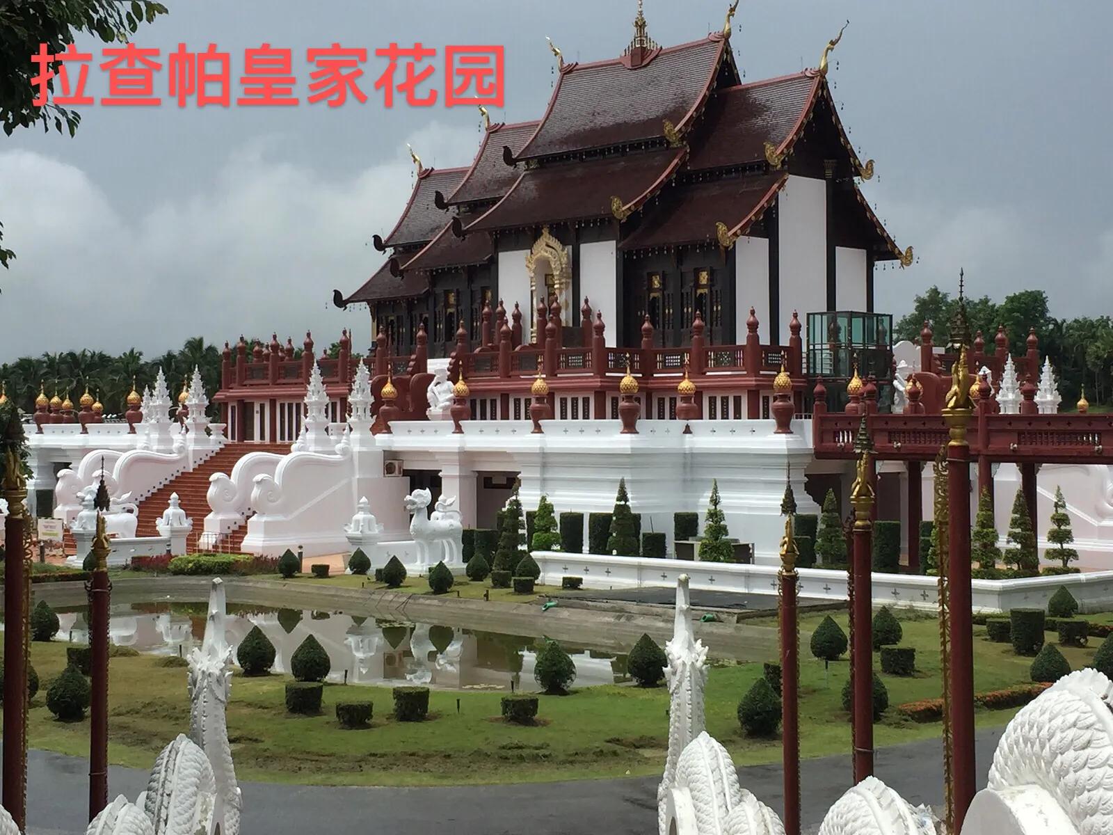 你知道泰国明星金渐层吗,你了解泰国吗